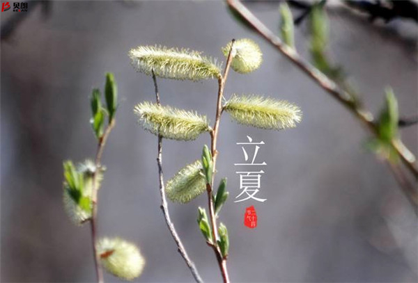 二十四節氣立夏，那些您不知道的習俗